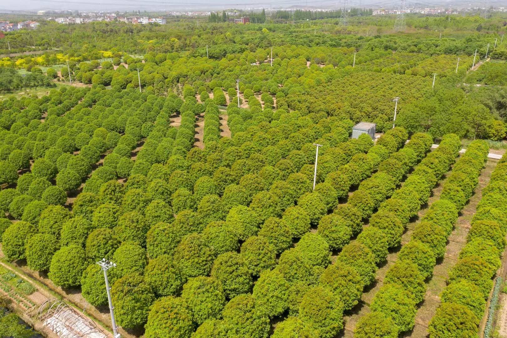 103959888.jpg 封面(1).jpg